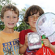 kids and bugs